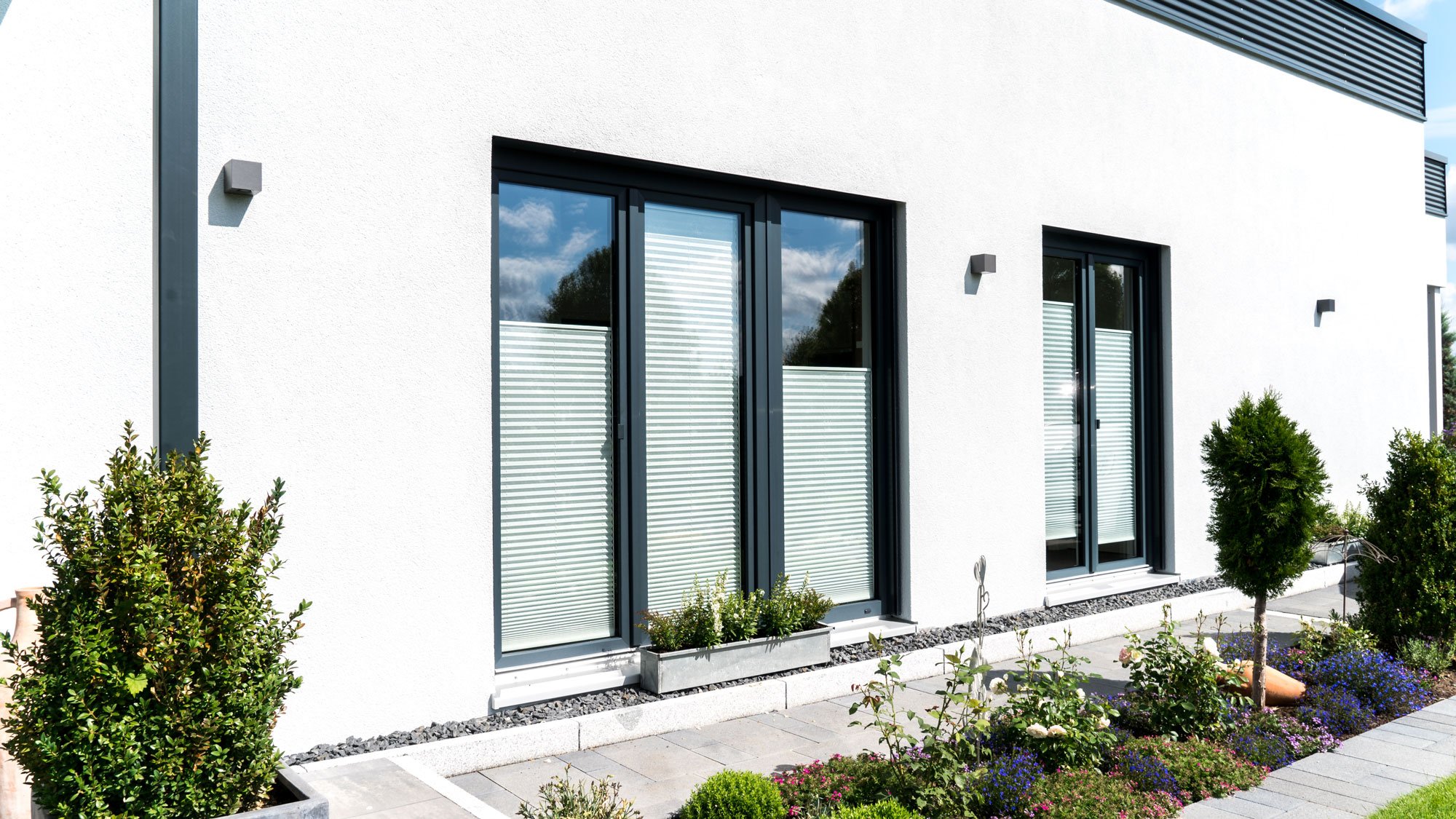 Fenster mit Plissee